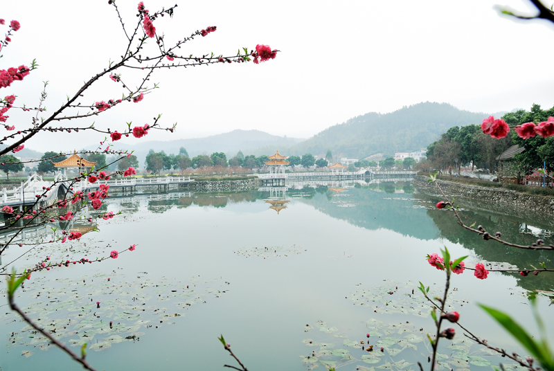 红山村